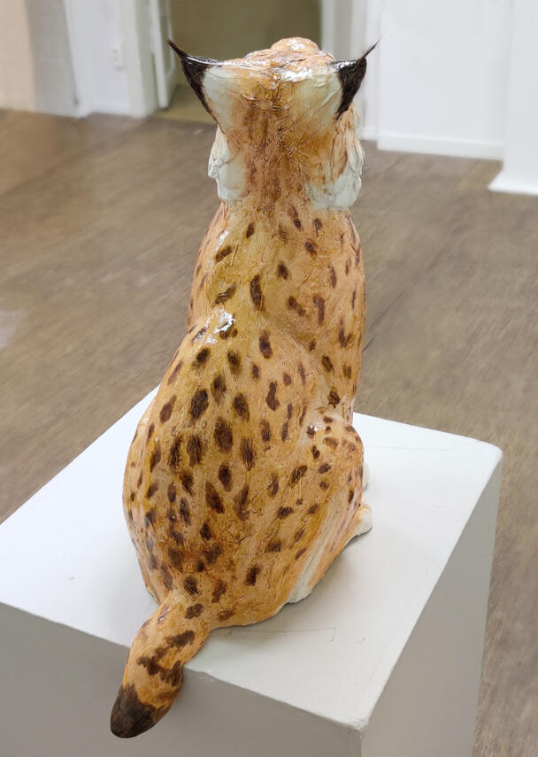 Lynx Sérenus Kipsi, oravankarva, 2024