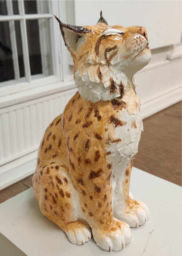 Lynx Sérenus Kipsi, oravankarva, 2024